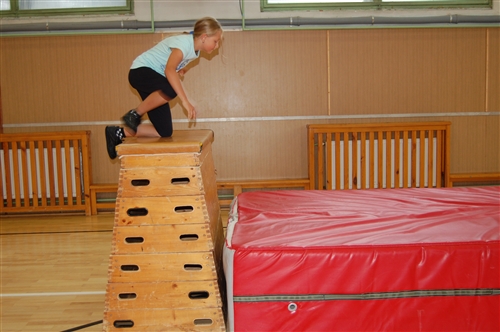 Obrázek v galerii